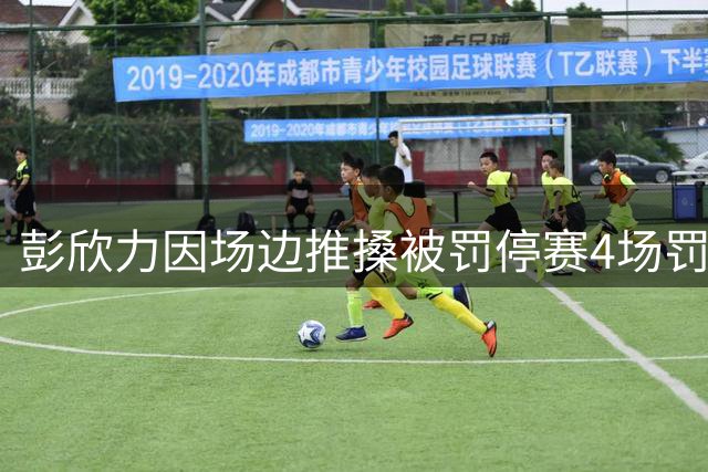 彭欣力因场边推搡被罚停赛4场罚金4万