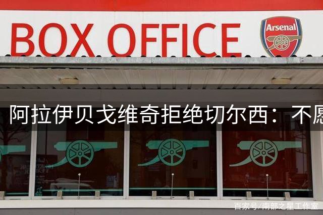 阿拉伊贝戈维奇拒绝切尔西：不愿成为"白堡"租将